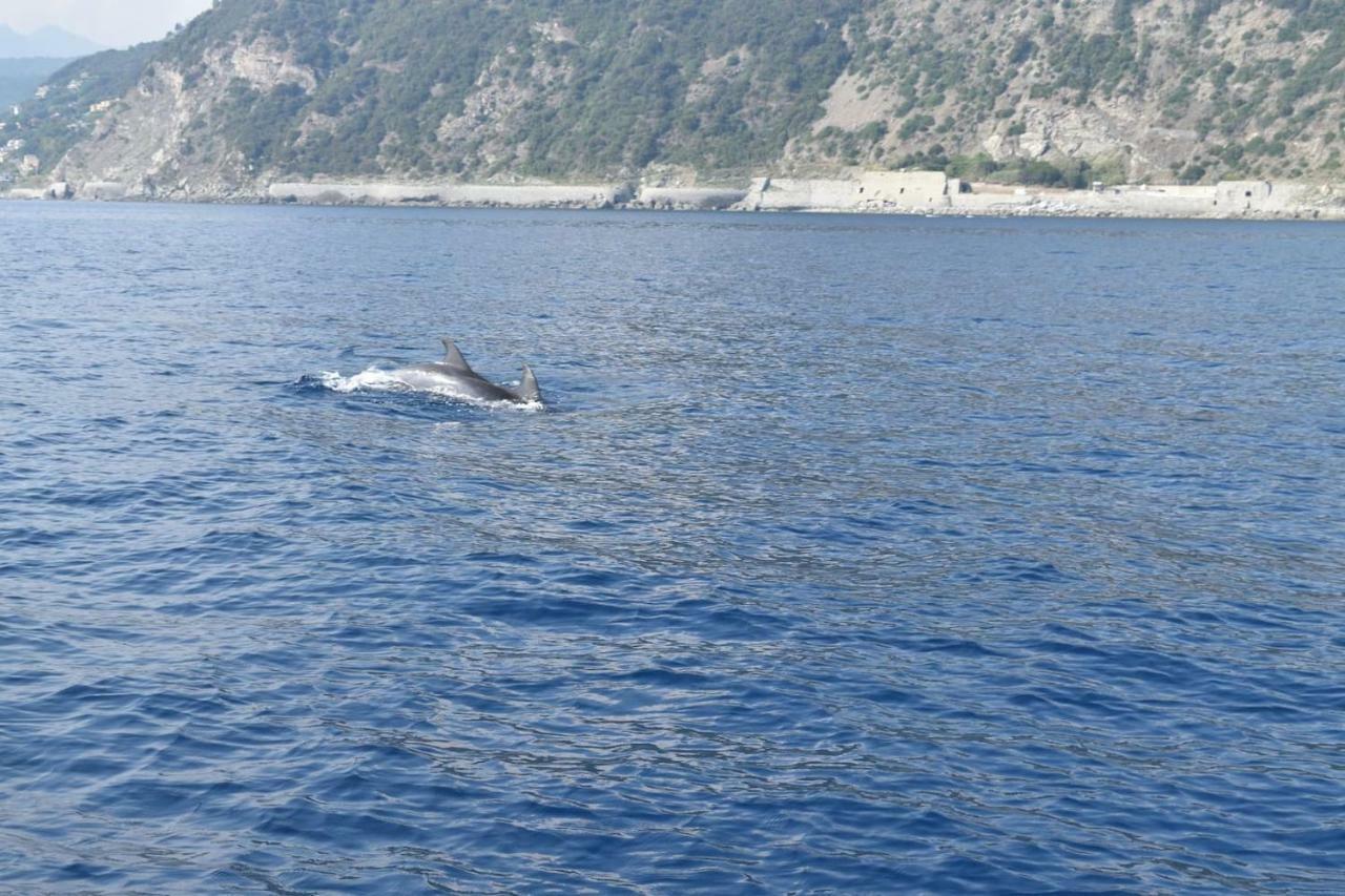 Tavernetta 109 Terrazza Tra Le 5 Terre E Portofino Дейва-Марина Екстер'єр фото